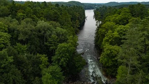 River through the trees Stock-Fotos