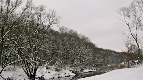 River Through the Winter Forest Stock Footage 46308742