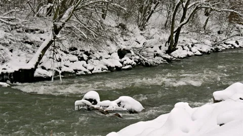 River Through the Winter Forest Stock Footage 46309362