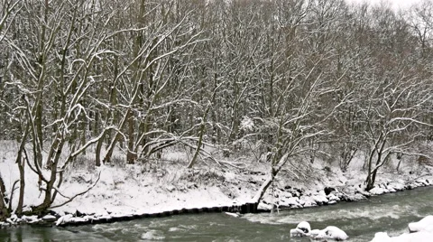 River Through the Winter Forest Stock Footage 46309596