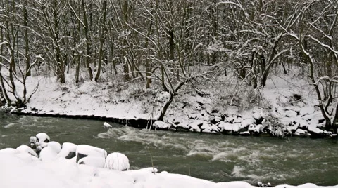 River Through the Winter Forest 動画素材 46309774