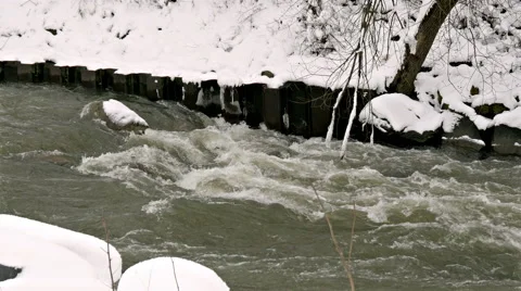 River Through the Winter Forest Stock Footage 46309901