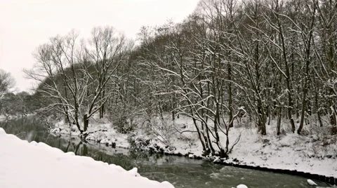 River Through the Winter Forest Stock Footage 46310068