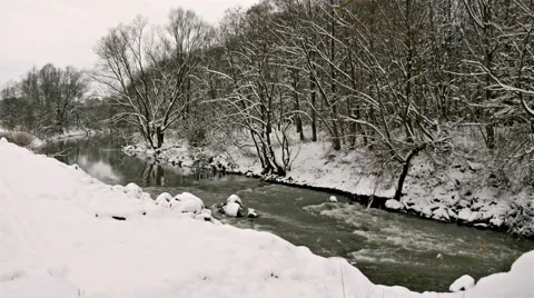 River Through the Winter Forest Stock Footage 46310300