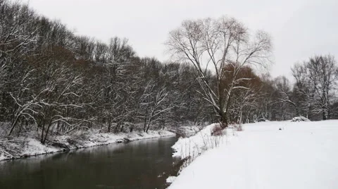 River Through the Winter Forest Stock Footage 46321431