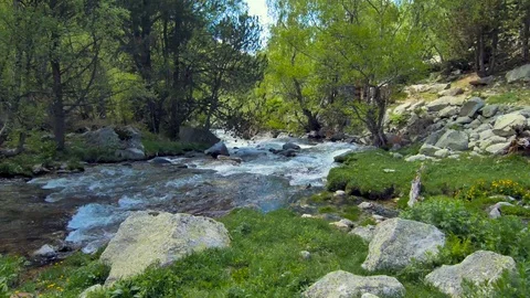 River through woodland valley Stock Footage