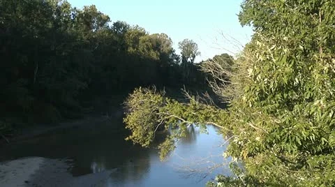 RIVER THROUGH WOODS 3 Stock Footage 11184410