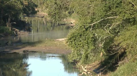 RIVER THROUGH WOODS 6 Stock Footage 11184745