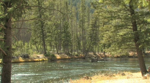 River through woods Stock Footage 270347