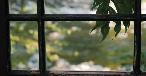 River thru Window Stock Footage 69768226