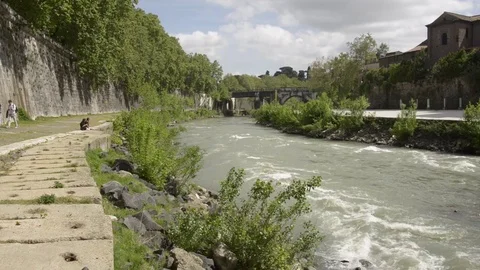 River Tiber in Rome, Wide and close panning shots. Flower closeup Stock Footage 80985801