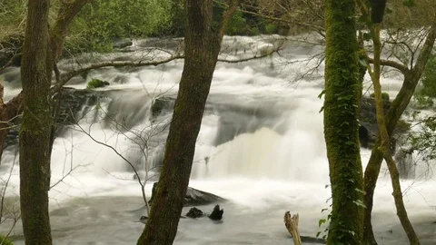 River Time-lapse 스톡 동영상 81127225