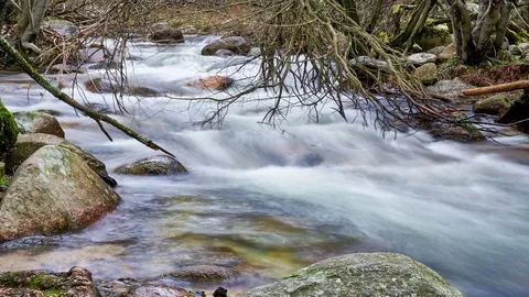 River timelapse in autumn Stock Footage 74451209