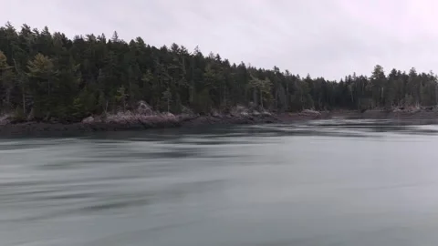 River Timelapse With Cloudy Sky Stock Footage 317123043