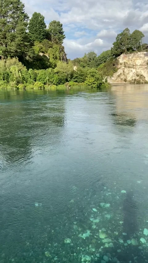 River in Tongario Vídeo Stock 344173314