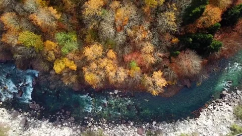 River top view Stock Footage 130252460