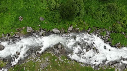 River, top view Stock Footage 219507468