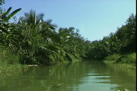 River Tour-pov-2 Stock-Footage 819948