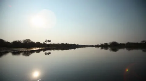 River tracking shot in the Okavango  Stock Footage 24653900