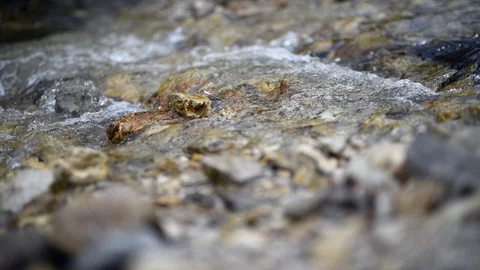 River tranquility Stock Footage 90739069