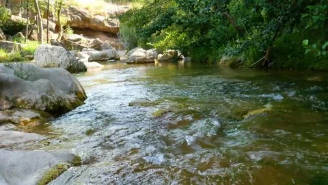 River in tranquility Stock Photos