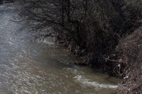 River with trash Stock Photos