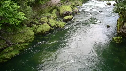 River traun near roitham, upper austria Stock Footage 133308769