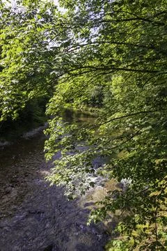 River Traun Foto stock