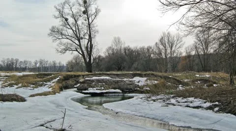 River tree Stock Footage 8969584