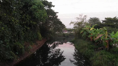 River with tree forest scenery morning fog in rural village Stock Footage 124350659