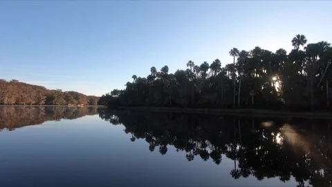 River Tree Line with sunset or sunrise Stock Footage 111269126