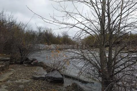 River by a tree with no leaves Stock Photos