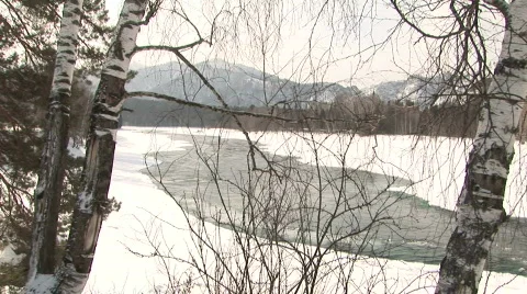 River &amp; tree pan Stockbeeldmateriaal 788638