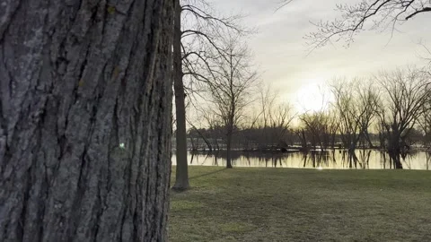 River with Tree Pan Sunset Lens flare 4K HDR Stock Footage 250368049