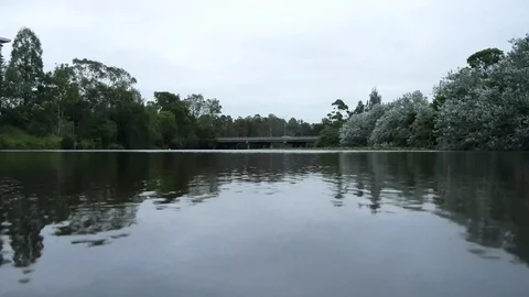 River with trees and bridge with traffic in distance overcast day Stock Footage 99424819