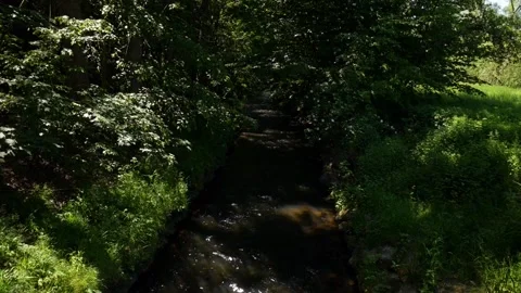 A river with trees and fields on its side Stock Footage 132426971