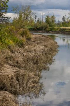 River, trees and grass Stock Photos