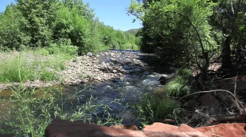 River with Trees and Rocks Vídeo Stock 485656