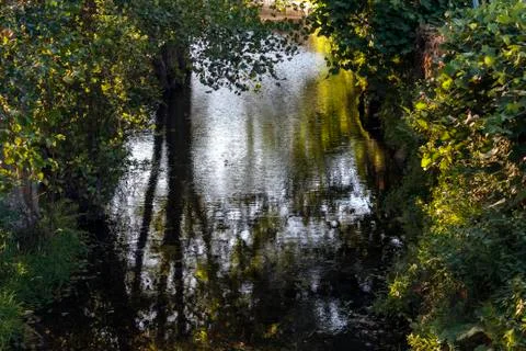 River, trees and water reflections Stock Photos