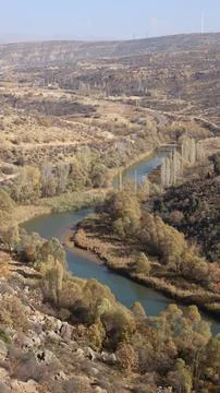 River trees bend Stock Photos
