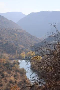 River trees bend Stock Photos
