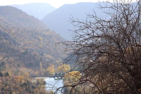 River trees bend Foto stock