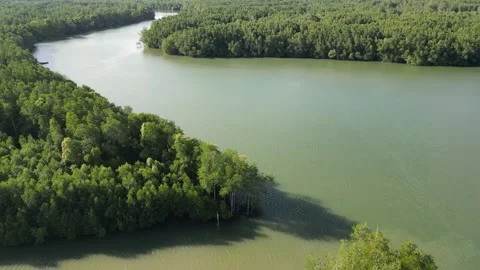 A river with trees on both sides. Aerial view Kong Kong, Johor Stock Footage 325789777