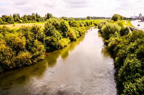A river with trees on both sides Stock Photos