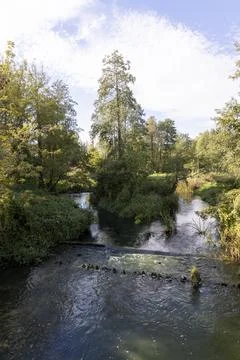 River with trees during leaf fall, a bright autumn landscape with a river a.. Stock Photos