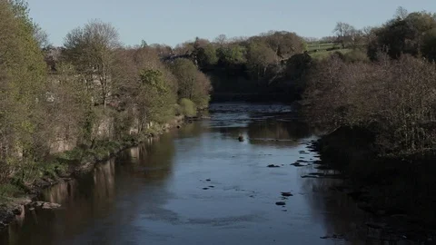 River with trees on either side and rural buildings, handheld Video stock 91617635