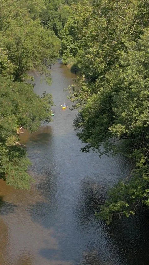 A river with trees on either side Stock Footage 311268846