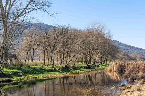 A river with trees on either side Stock Photos