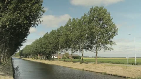 River with trees Stock Footage 21607737