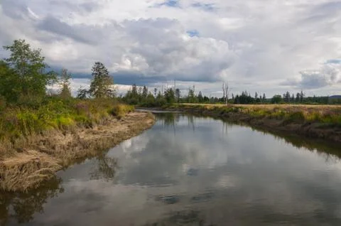 River, trees, grass and clouds Stock Photos
